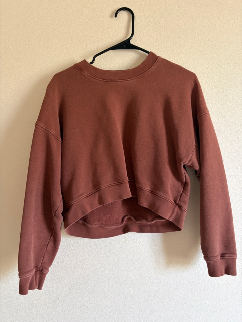 MATE the Label Cropped Crewneck Sweatshirt in Rust